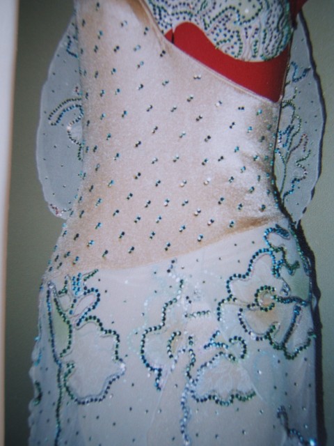 Crystal Bloom - Sheer White Latin Dress with Floral Beading (3)