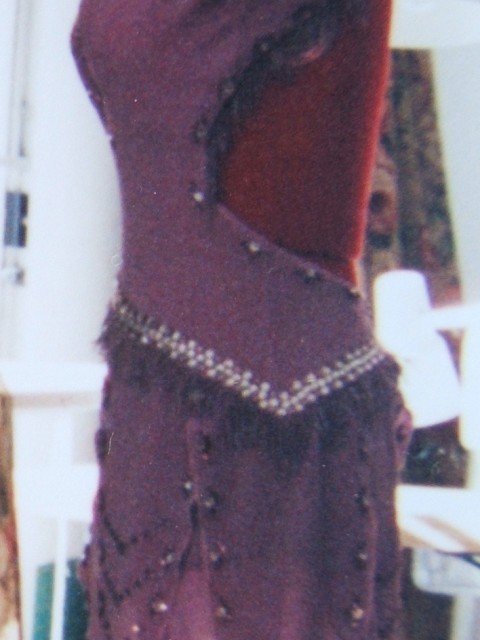 Violet Flame - Fringe Cut Latin Dance Dress (2)