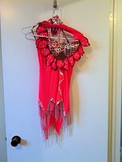 Flamingo Rhythm - Rhinestone & Fringe Latin Dress